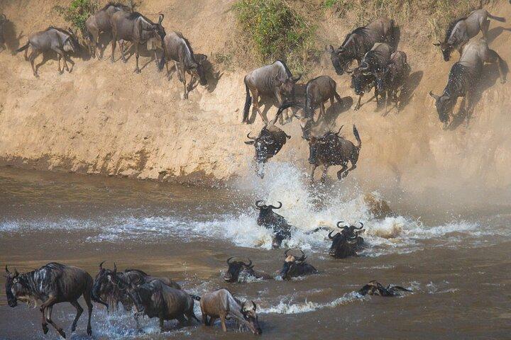 9 Tage Kenia Familienabenteuer
