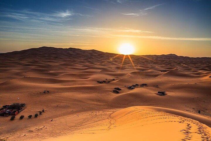 Private Morning Desert Safari Tour