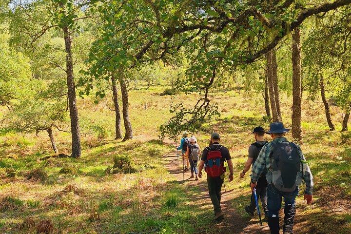 Paseo guiado por Dundreggan