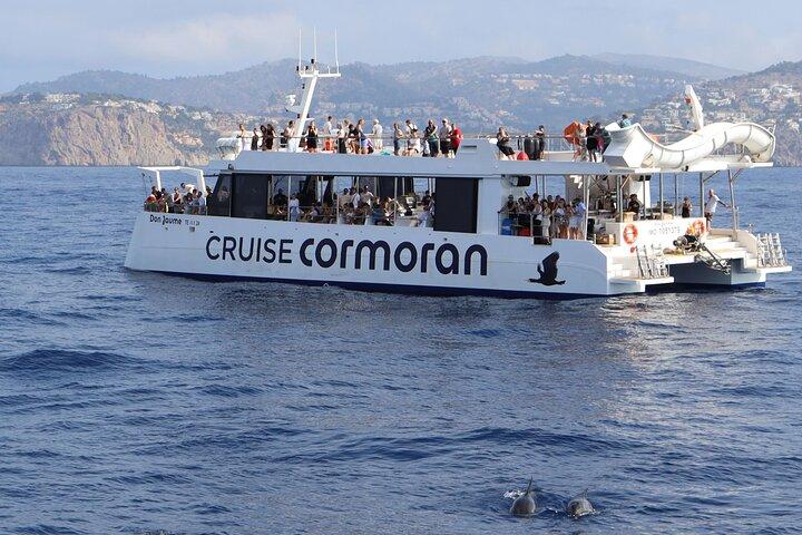 Delfinsafari på Mallorca (Paguera)