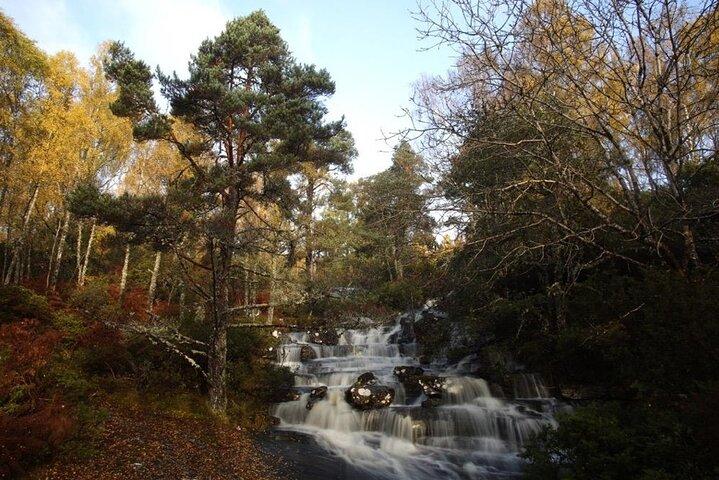 Paseo guiado por Dundreggan