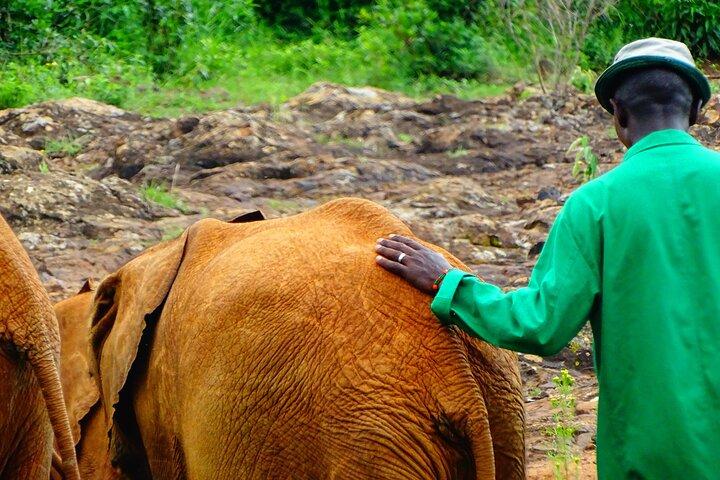 15 Tage Freiwilligenarbeit in Kenia