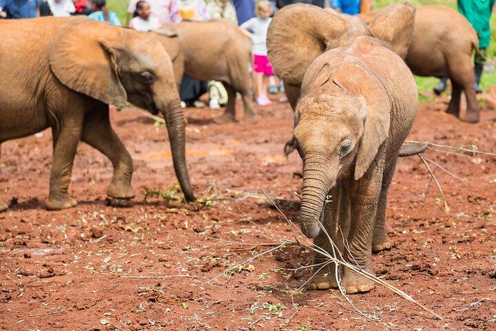 15 Tage Freiwilligenarbeit in Kenia