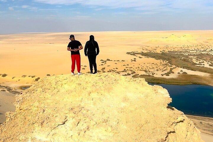 Tour por el Valle de las Ballenas en el Oasis de Fayoum