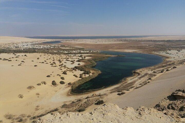 Tour por el Valle de las Ballenas en el Oasis de Fayoum