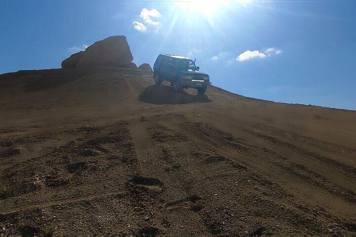 Tour por el Valle de las Ballenas en el Oasis de Fayoum