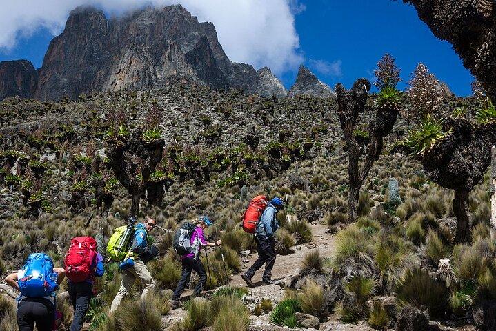 5-Day Mt Kenya Trekking Safari Expedition