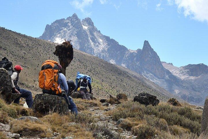 5-Day Mt Kenya Trekking Safari Expedition