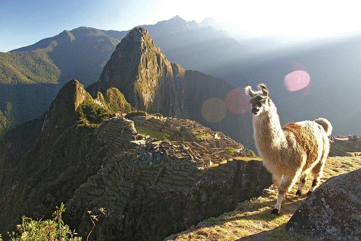 One Day Inca Trail Challenge til Machu Picchu med frokost