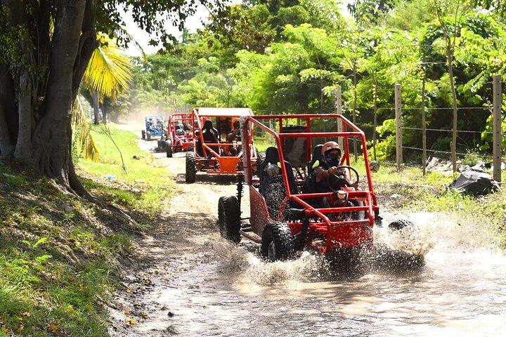 Excursión en tierra : Buggy Adventure — Countryside & Local Tasting