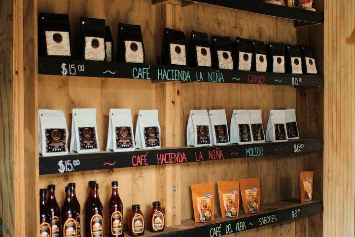 Excursion Café & Cascades : des montagnes à la tasse