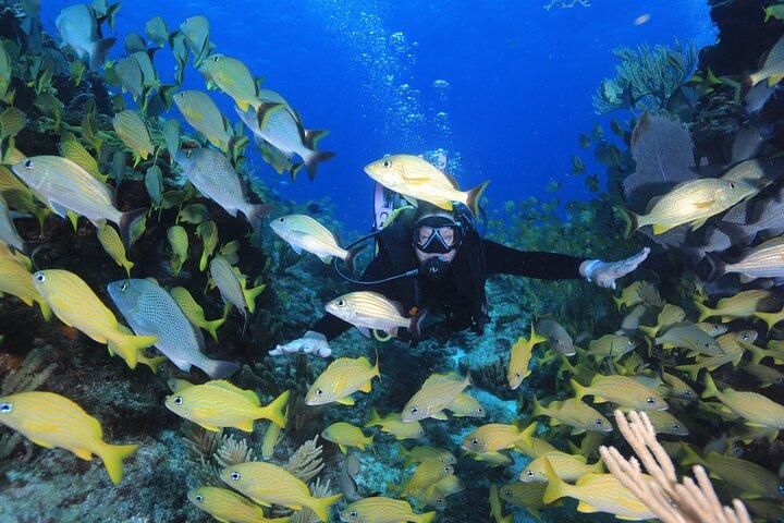 Buceo con dos tanques para principiantes en Cancún