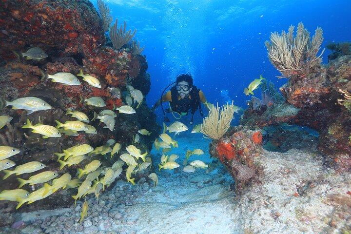 Buceo con dos tanques para principiantes en Cancún