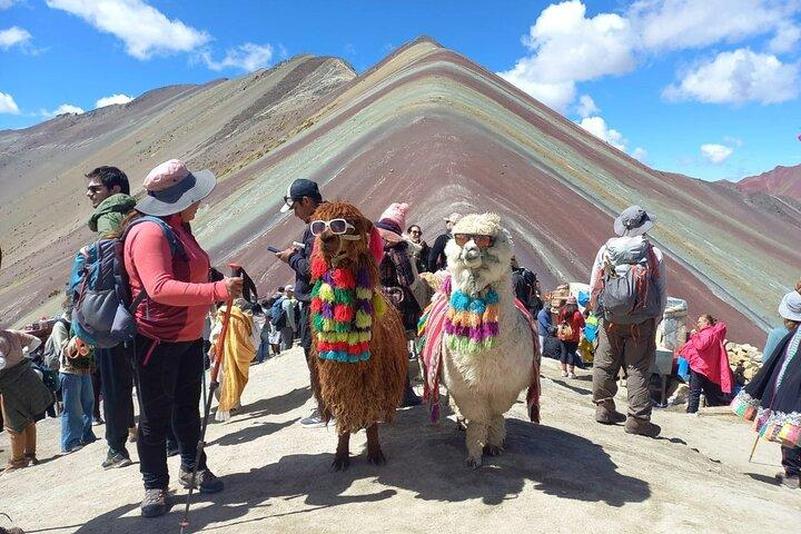 Tour di un giorno a Montaña de 7 Colores con pranzo a buffet