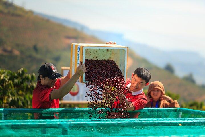 2 Giorni Autentica Dalat Coffee Farm & Esperienza Escursionistica