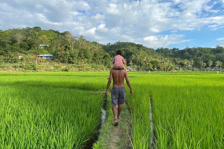 Wae Rebo Village and Beach Camp Nuca Molas