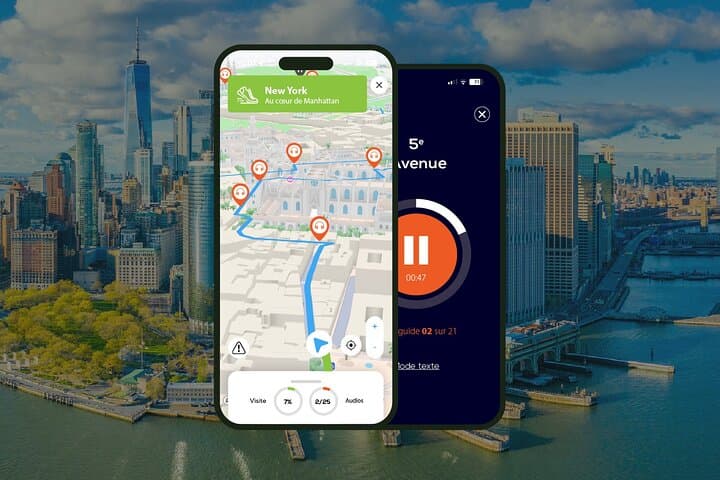 New York City Walking Tour 3h30 and 22 audio reviews