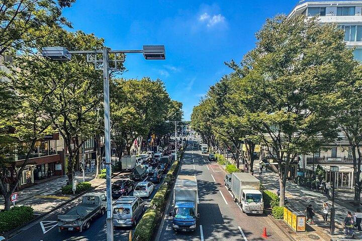 Tour de um dia guiado privado de Tóquio com transporte privado