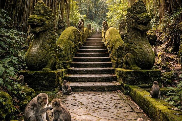 Excursão privada Ubud Monkey Forest