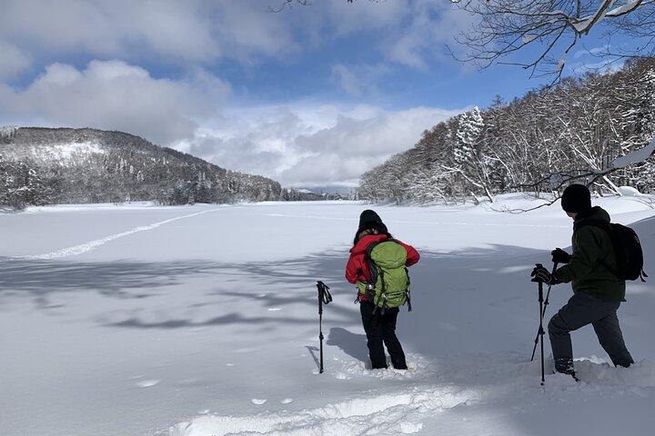 Nagano Privéwandeling van een halve dag met sneeuwschoenen Nozawa Iiyama Madarao