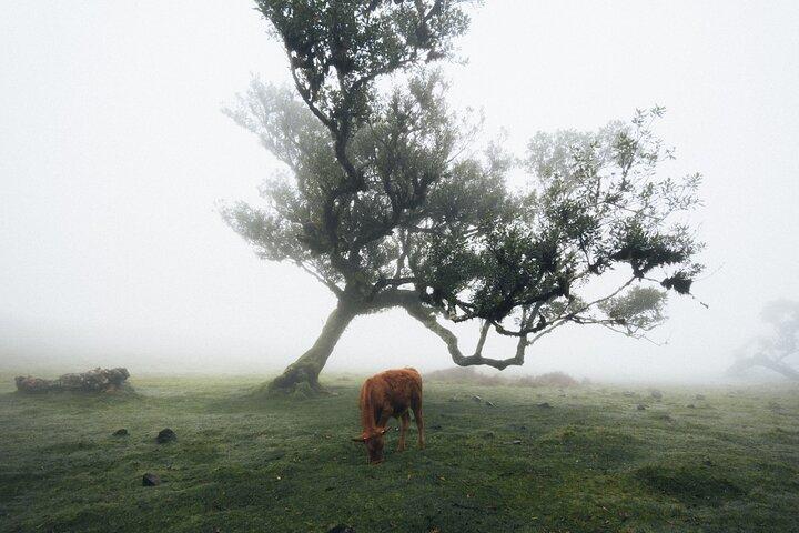 PR13ヴェレダ、送迎付きファナル神秘セルフガイドハイキングを実施