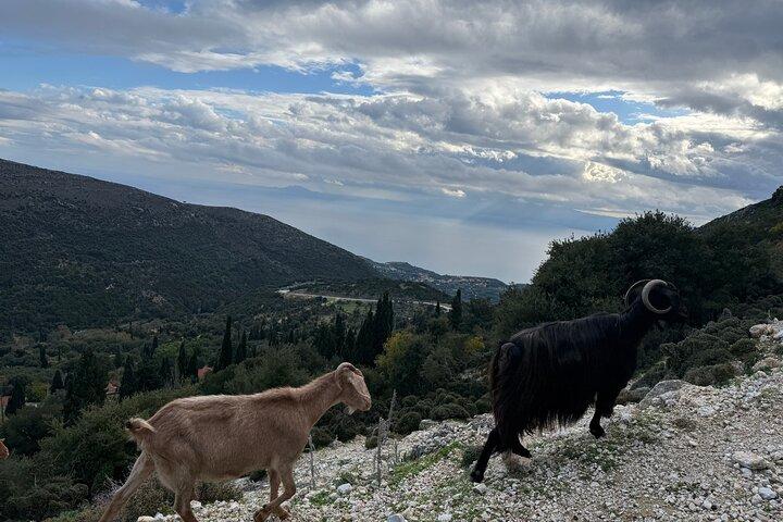 Kefalonia Premium 4×4 Sunset Experience