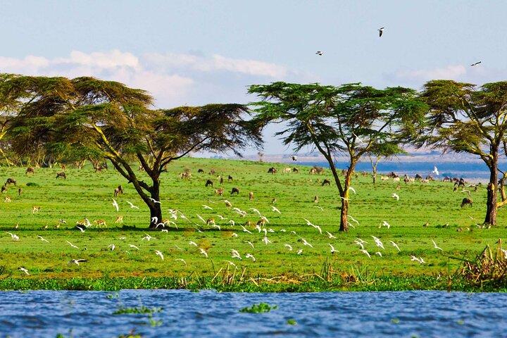 9 Tage Kenia Familienabenteuer
