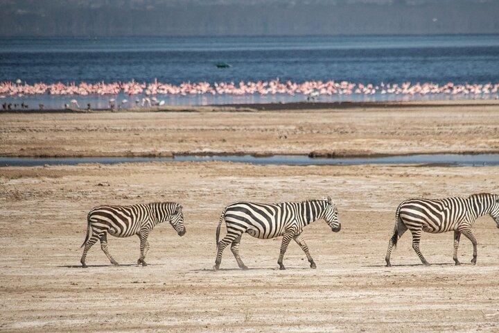 Halvdagstur til Lake Nakuru National Park fra Nakuru