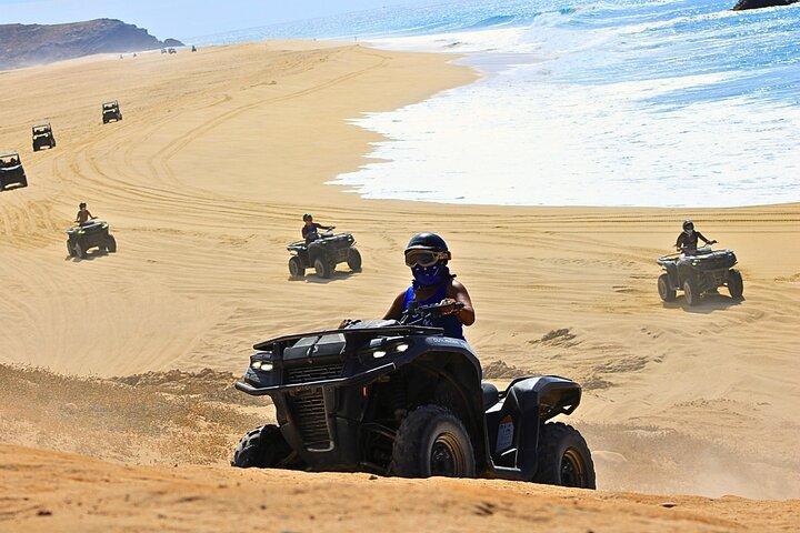 カボ ミグリーノ ビーチと砂漠の ATV ツアーとテキーラの試飲