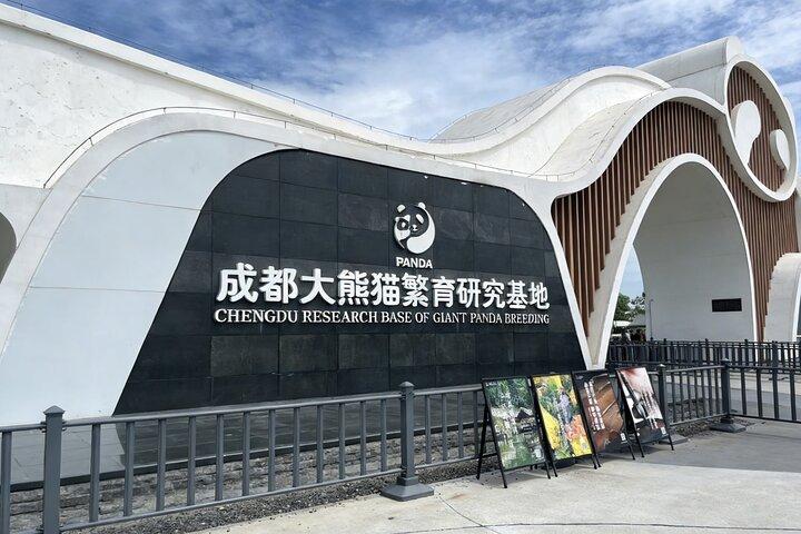 成都の楽山大仏とパンダへの重慶新幹線旅行