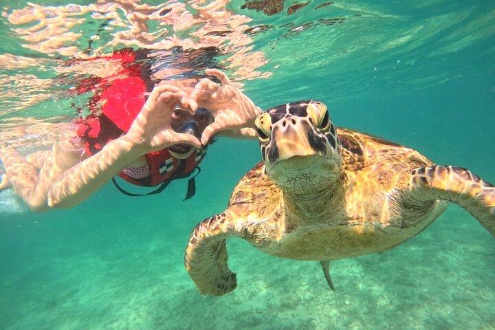 Mirissa Unvergessliches Schnorchelerlebnis mit Schildkröten