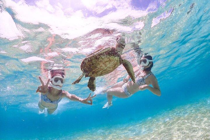 Miyakojima "Il tasso di incontri è del 100%" [Snorkeling con tartarughe marine e pesci pagliaccio] Nessun costo aggiuntivo | Garanzia di rimborso completo | Bambini di 1 anno benvenuti | Noleggi e foto gratuiti illimitati