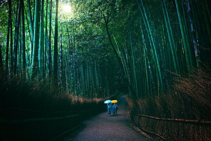 プライベート京都・奈良文化ツアー-英語ドライバー
