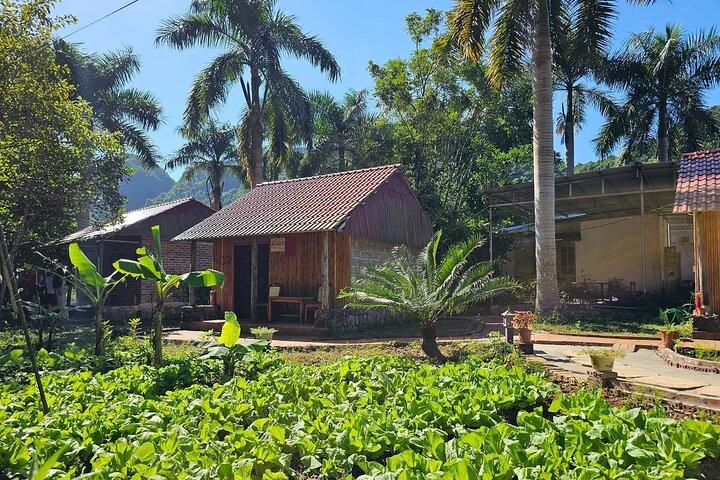 2 dagars Navy Peak Trekking, Viethai Village och Ha Long Bay kryssning