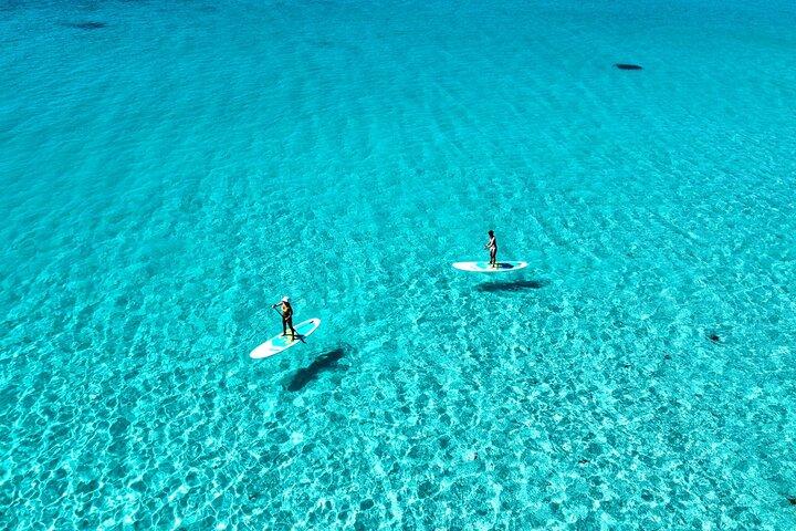 Formule standard Miyakojima [SUP et observation des tortues marines] Sans frais supplémentaires | Remboursement intégral garanti | Location et photos gratuites | À partir de 1 an | Venez les mains vides