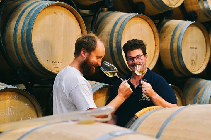 Vineyard tour and wine tasting in Davron