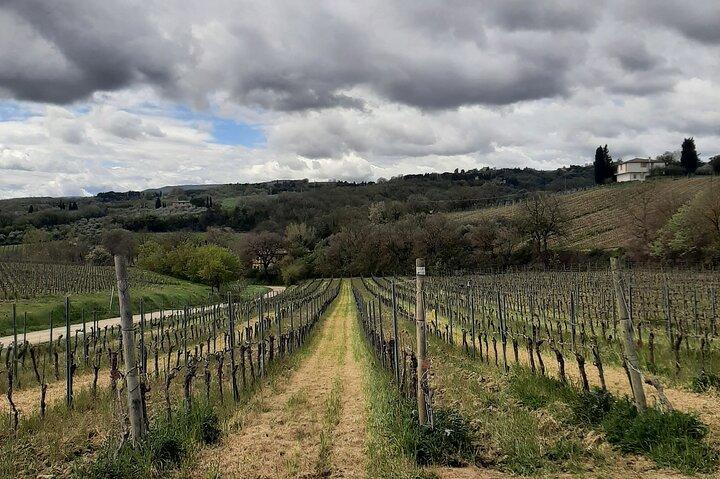 Rome Vineyards Wine tasting Private Day Tour