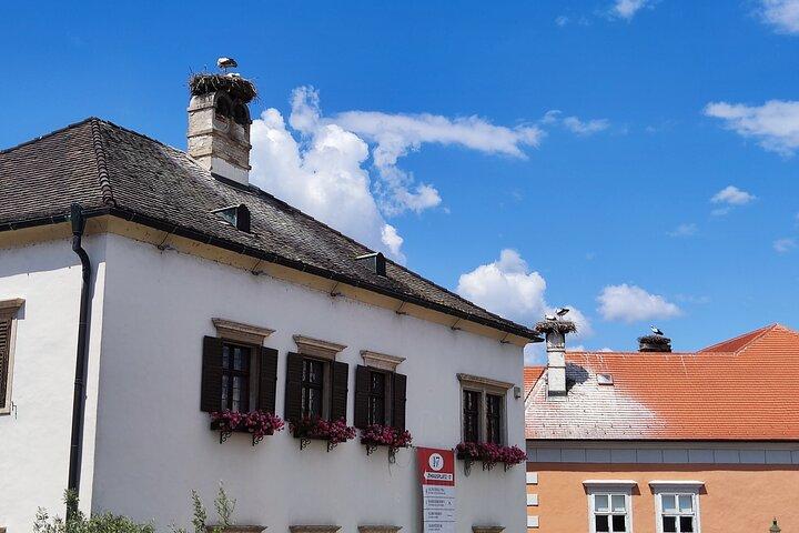 Rustique Autriche : Excursion d'une journée privée à la campagne et au vin
