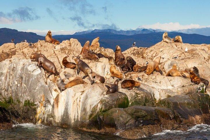 ビーグル水道とペンギン島を通る航行