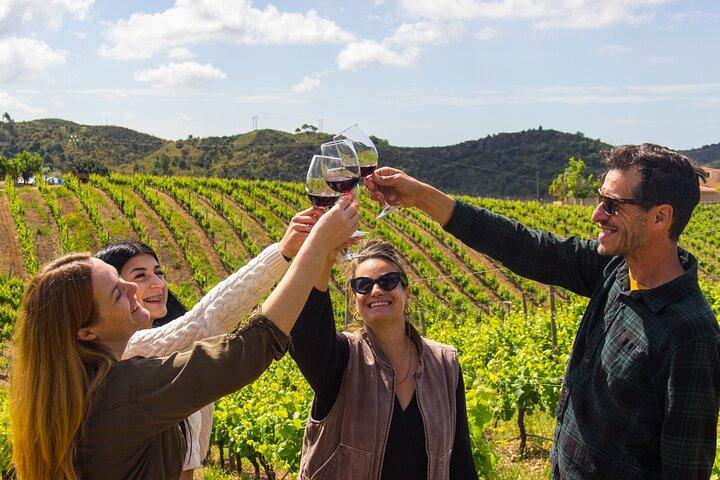 Visite privée des vins d'Algarve : 2 vignobles, dégustations et tapas