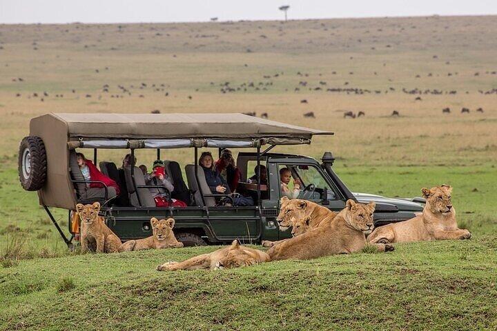 2 - Día Safari Privado de Masái Mara