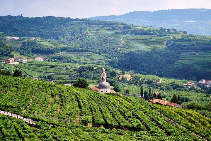 Halbtägiges Weinerlebnis in Valpolicella und Amarone aus Verona