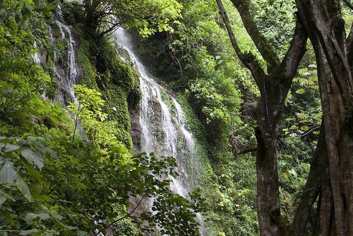Tour de senderismo en cascada Juayua 7 + 4x4 | Ruta de Flores