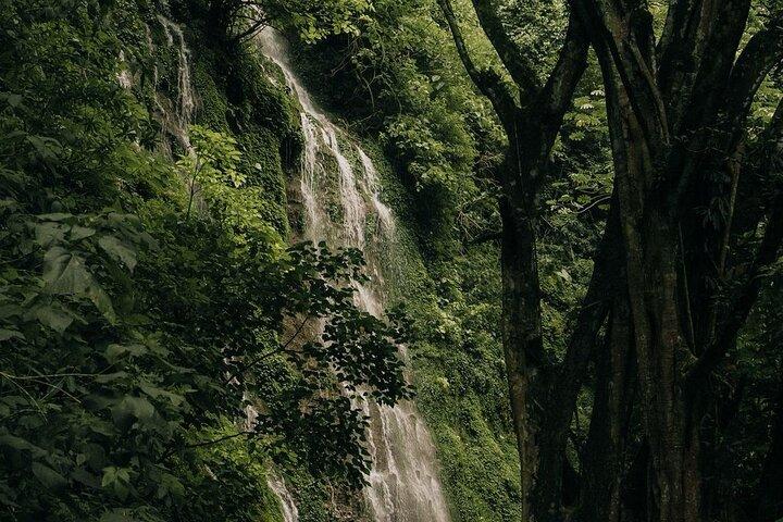 Tour de senderismo en cascada Juayua 7 + 4x4 | Ruta de Flores