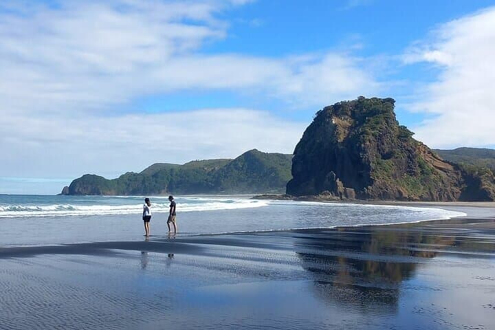 Private Sightseeing Tour in Auckland