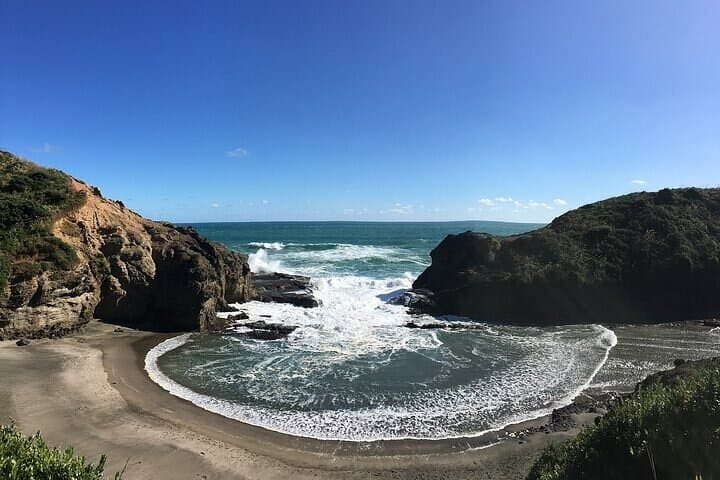 Private Sightseeing Tour in Auckland