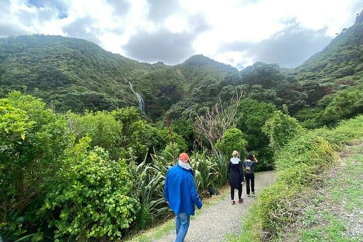 Private Sightseeing Tour in Auckland
