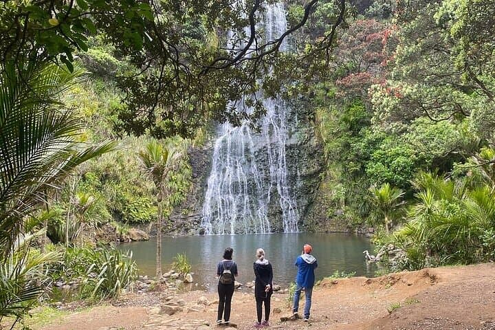 Private Sightseeing Tour in Auckland