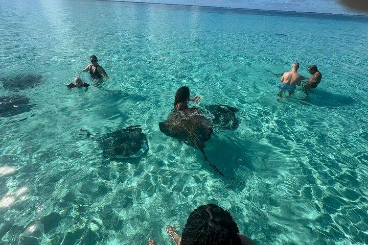 Avventura di mezza giornata Stingray City, Snorkeling, Starfish Point