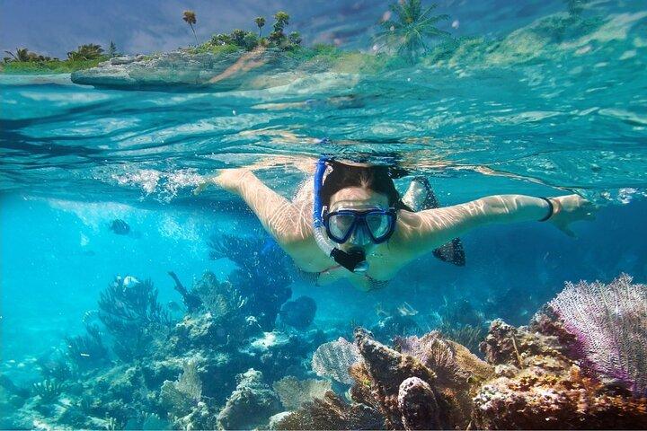 Hoteller i nærheden af Pattaya Coral Island Snorkeling Day Tour
